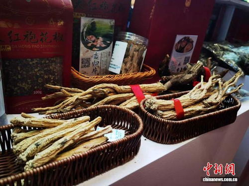 甘肅鄉村深閨 甘味農產品與苗雞物暢其流新篇章