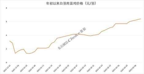 價格暴漲374%，新一輪“雞周期”來了？苗雞市場異動背后的邏輯與展望